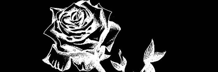 mari0zi0's profile banner image