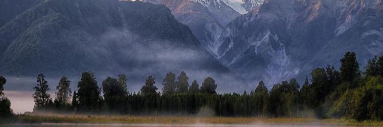 Ms_Edge's profile banner image