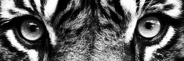 KristenGarceau's profile banner image