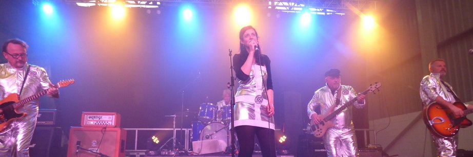 Mary Wyer Music banner