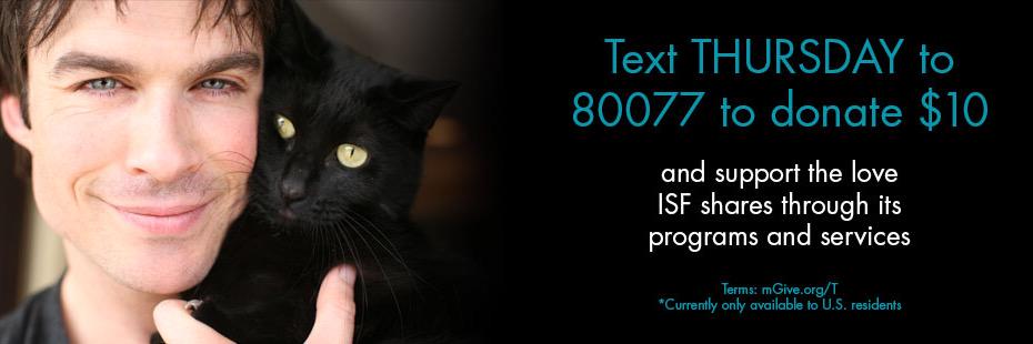 ISF_Toronto's profile banner image