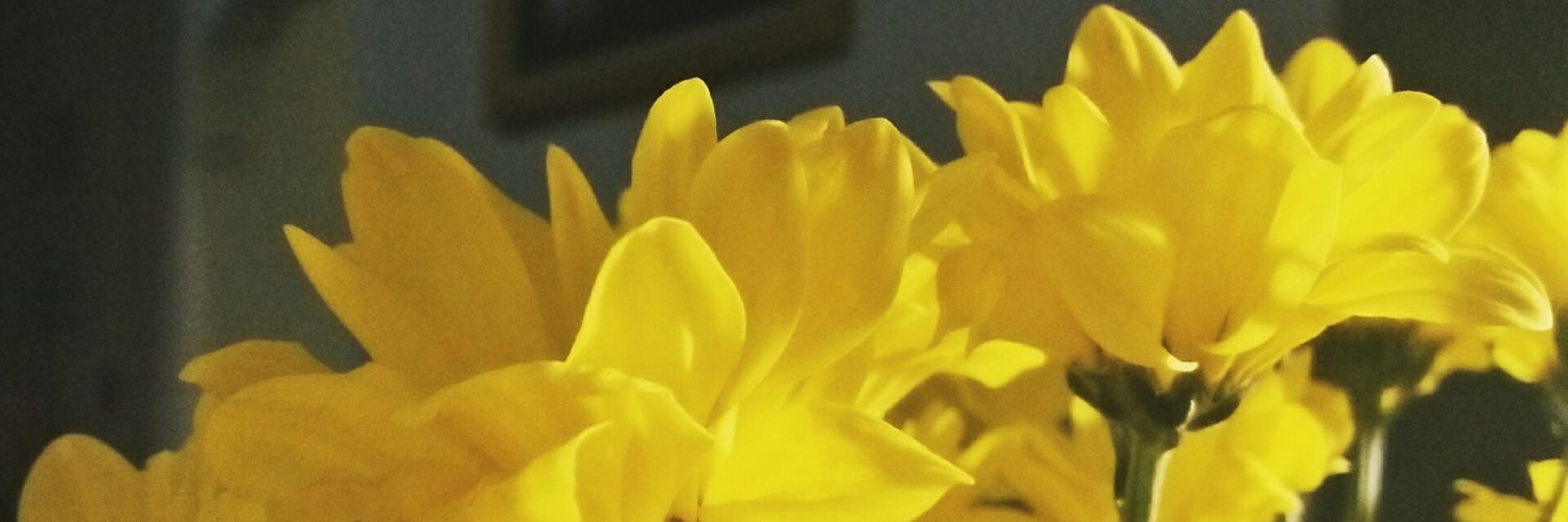 anggianugrah1's profile banner image