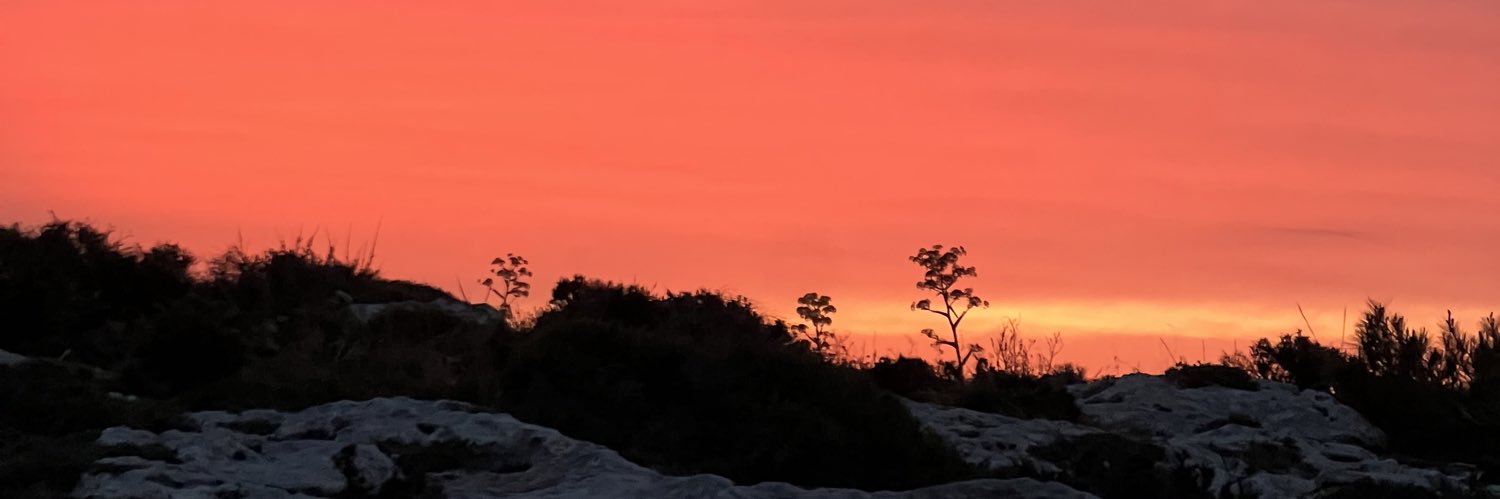 proadkit's profile banner image