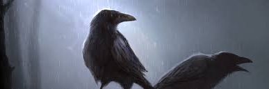 Crow banner