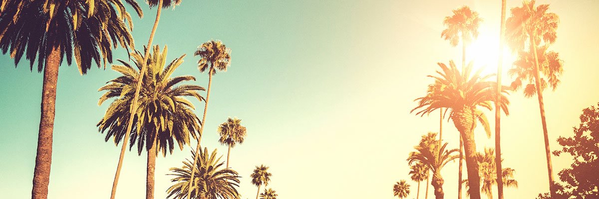 jb24haider's profile banner image