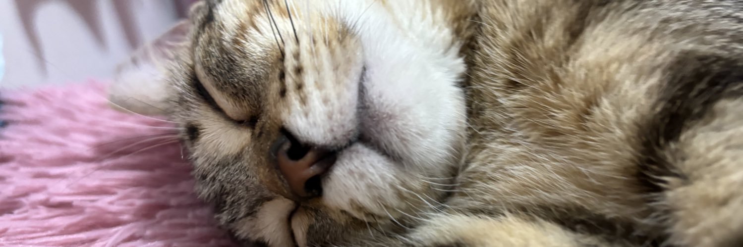 DaBrunette's profile banner image