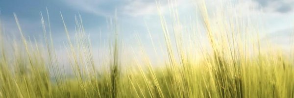 LuciniG Profile Banner