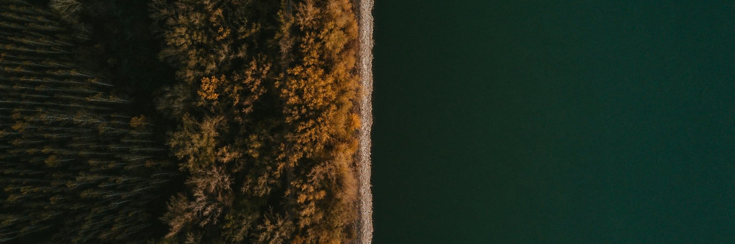 .  banner
