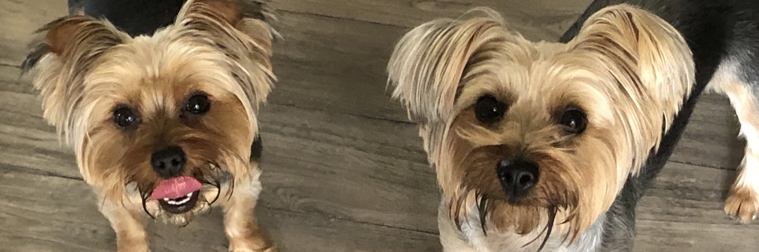 kaelav_'s profile banner image