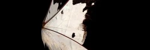 Faizal Baduda banner