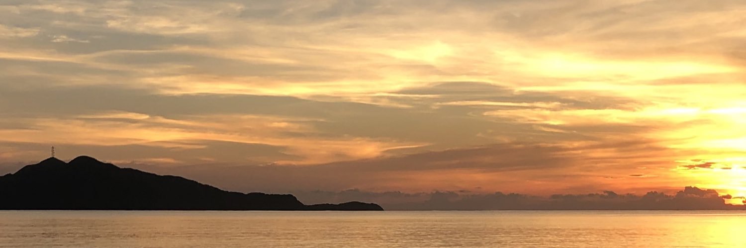 goringo77's profile banner image