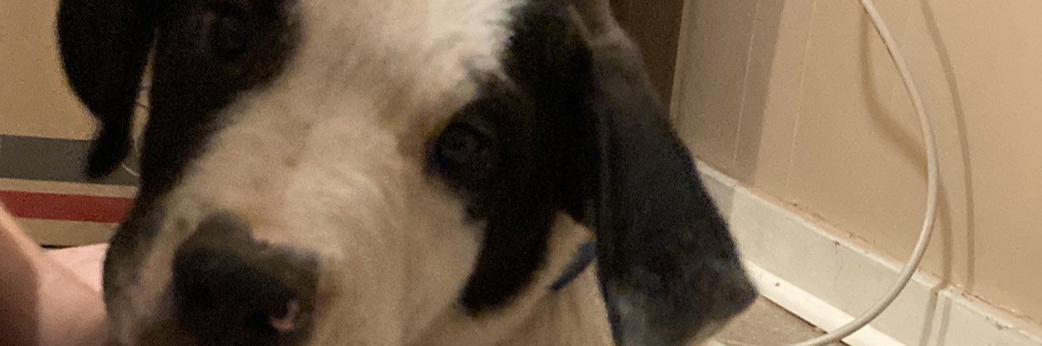Evan Bone banner