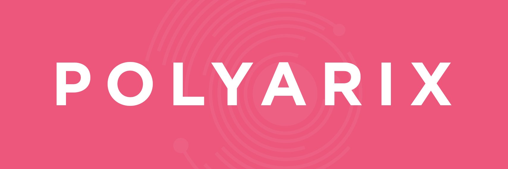 Polyarix's profile banner image