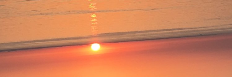 maelle_michet's profile banner image