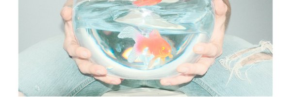 fish_narc Profile Banner