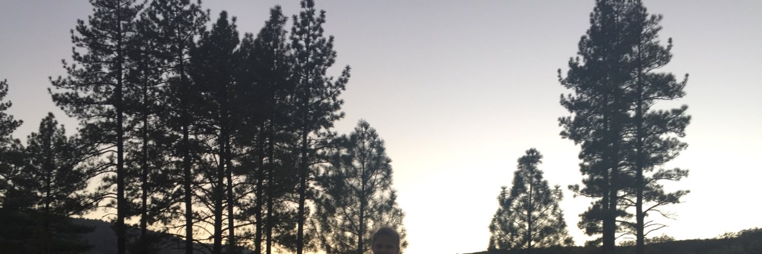 ElementMods's profile banner image