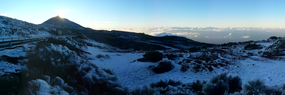 Dailos R. DÍAZ LARA 🦋 banner