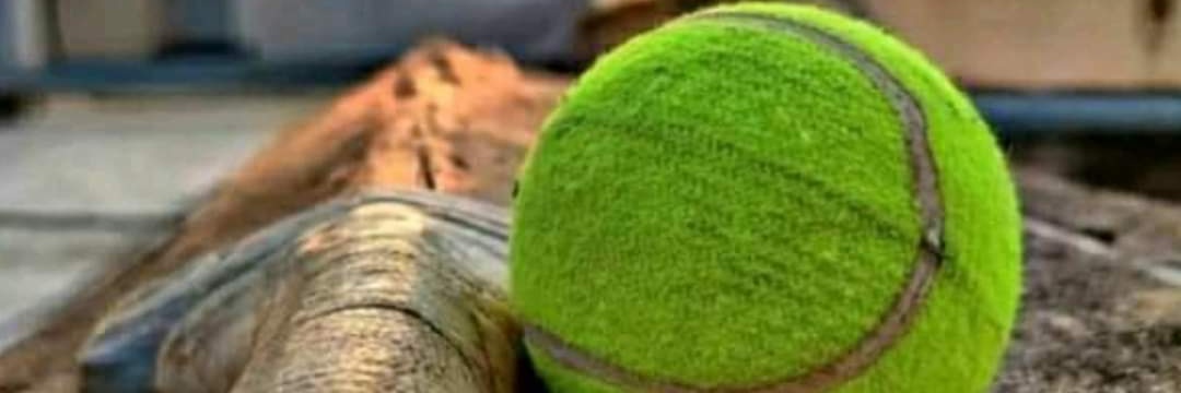 cricUpdatesHere's profile banner image