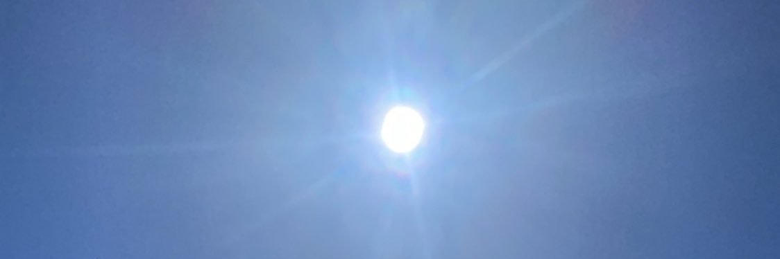 Wiremu Shakespeare banner