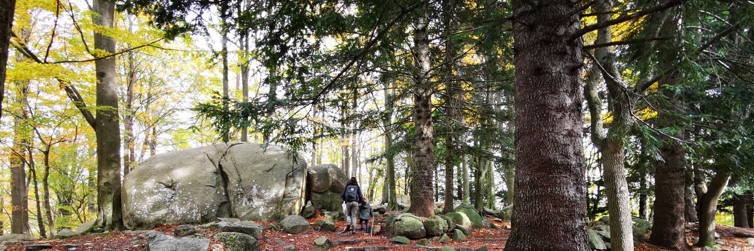 Vanessa Perez banner