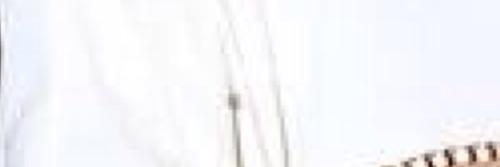 TaylorRPGBSD's profile banner image