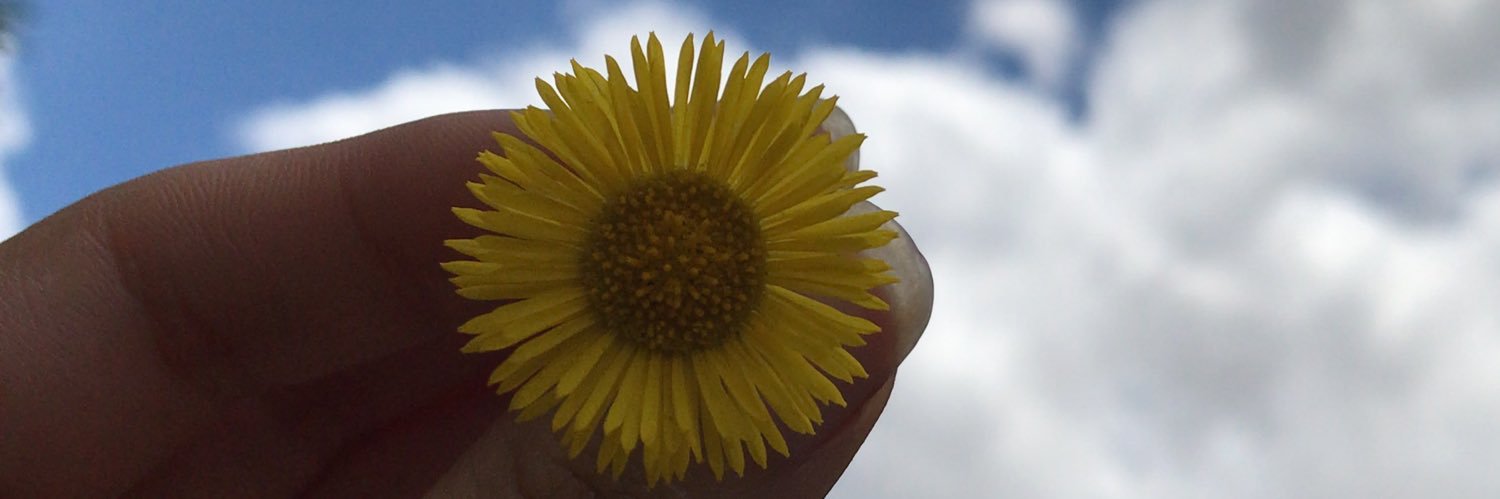 aguss003's profile banner image