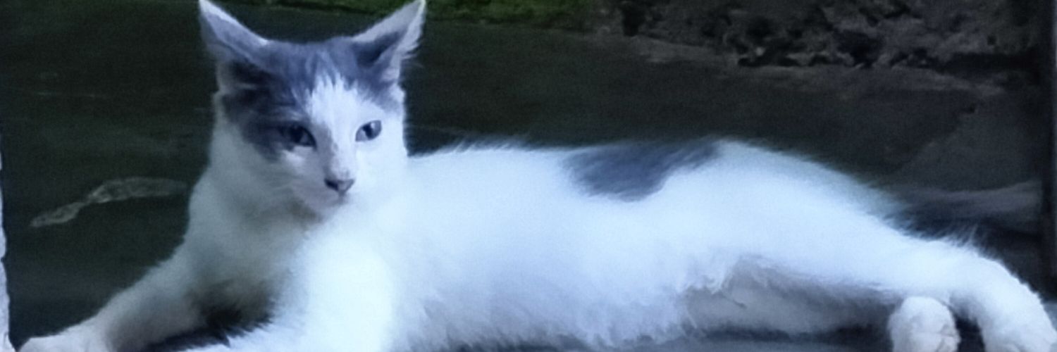 mistono2's profile banner image