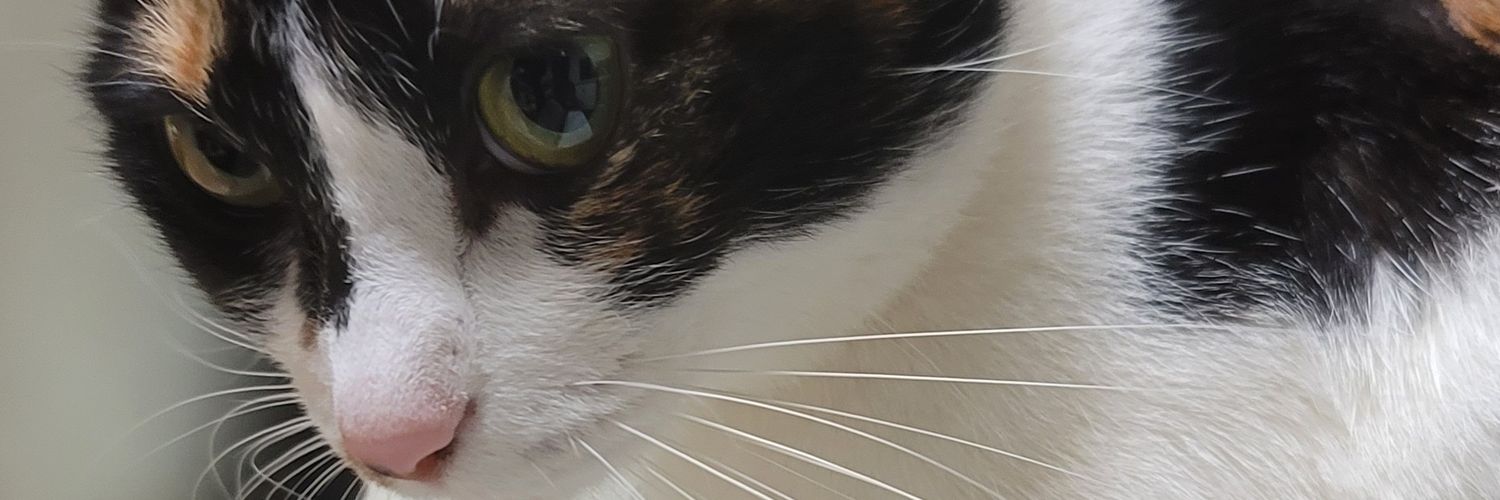 바리스타 카페🐺🥖 banner