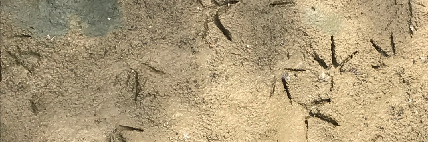katooct2's profile banner image