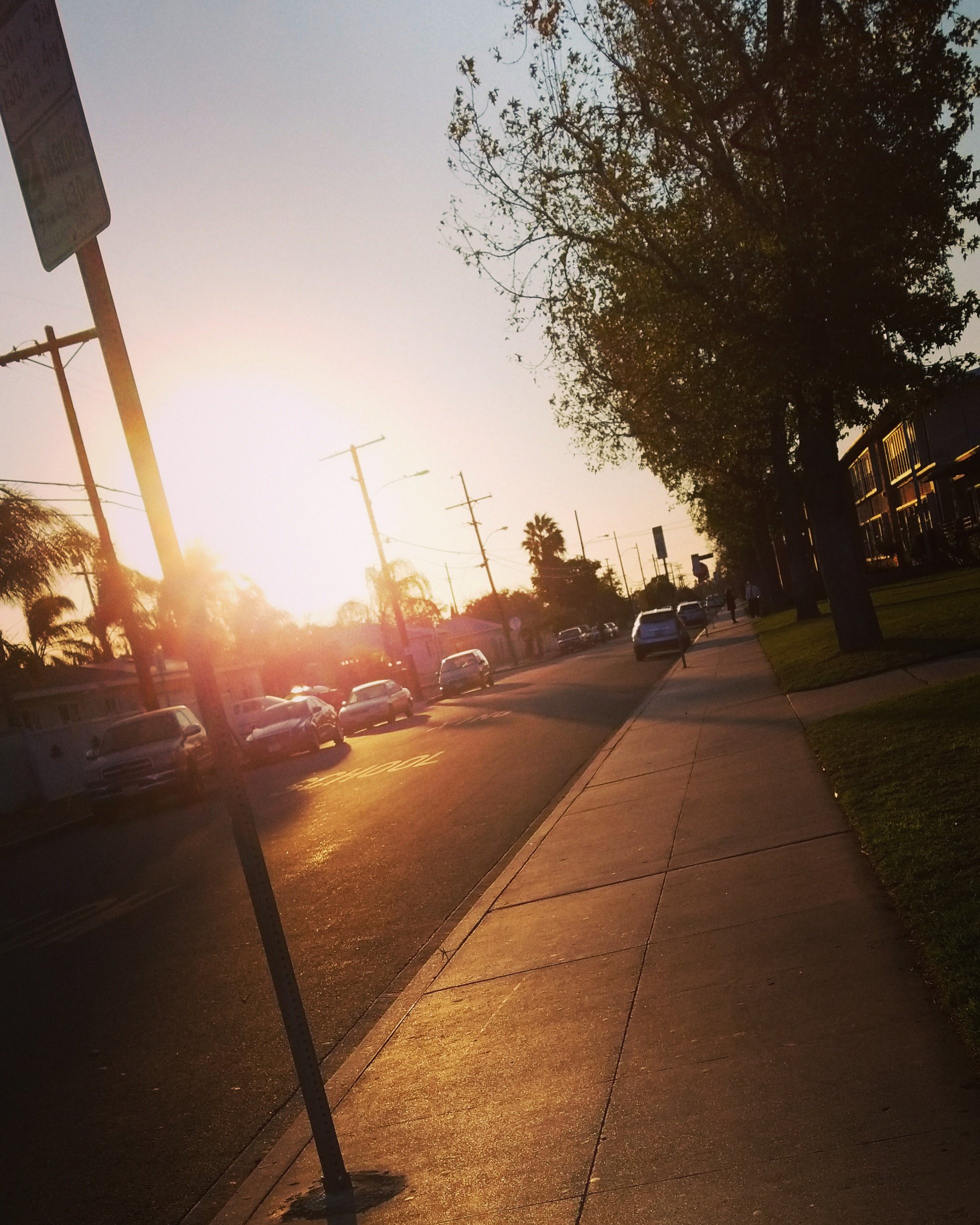 JoseViperx818's profile banner image