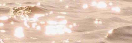 monrealangela's profile banner image