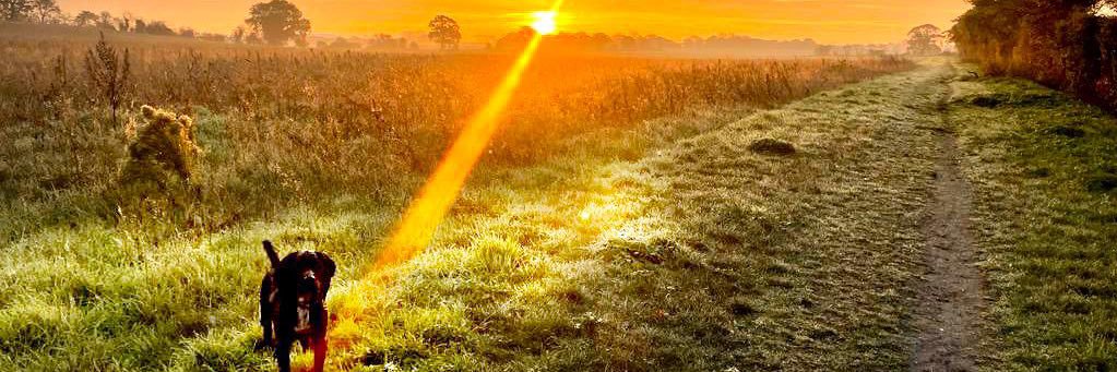 Rich Brooks 🔰 banner