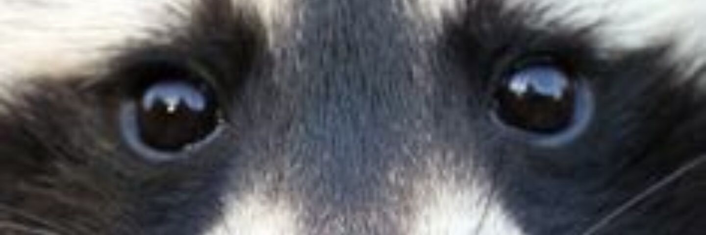 jamesfinley61's profile banner image