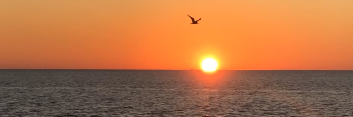 joshmsw's profile banner image