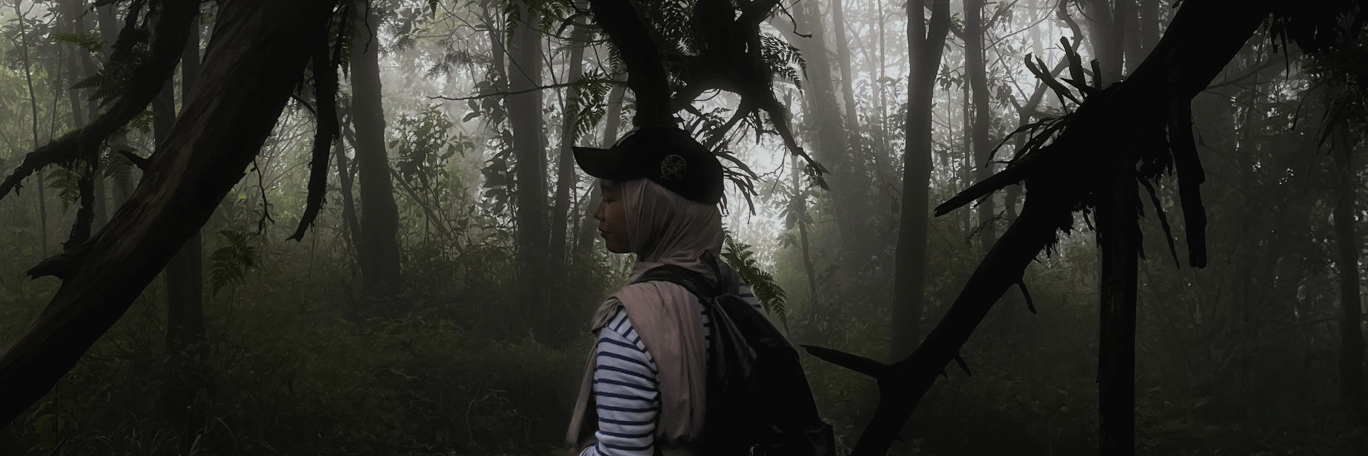 happypiooo's profile banner image