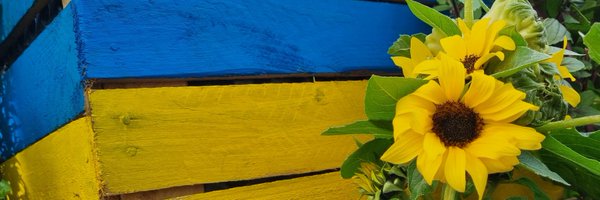 mairpeda Profile Banner