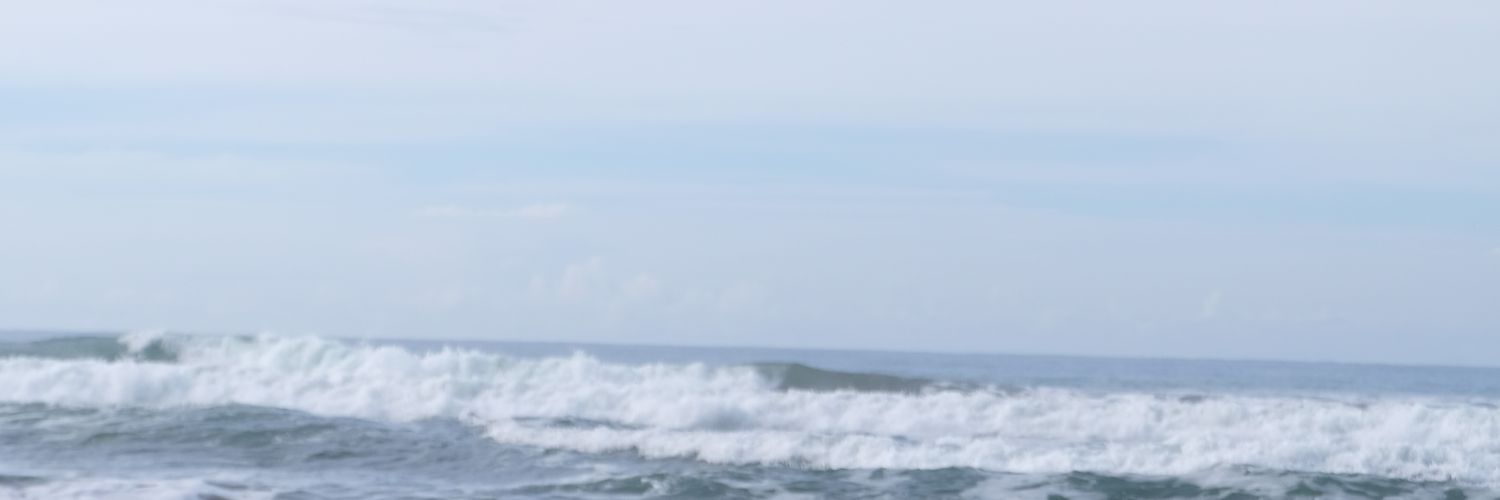megaudonism's profile banner image