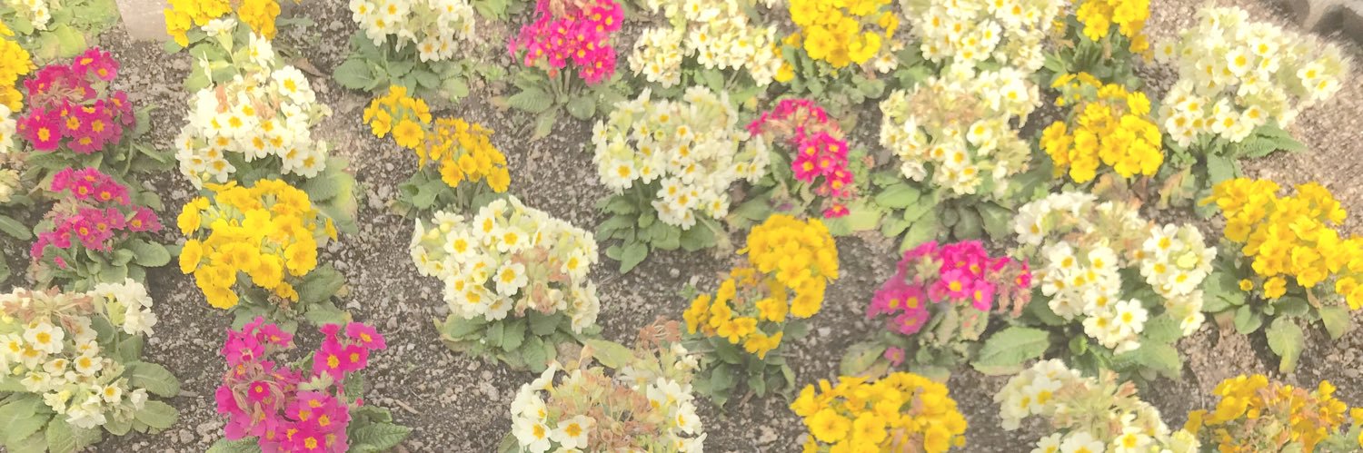 _asaasaka's profile banner image