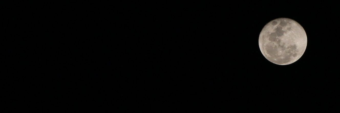 TheTinyWoman's profile banner image