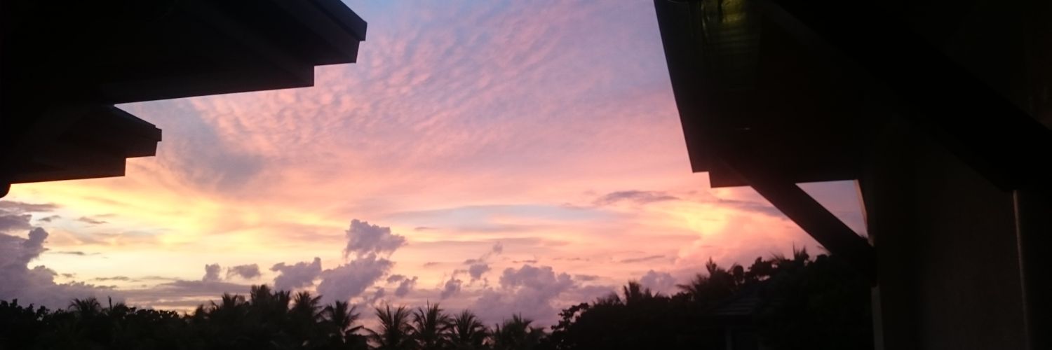 joycedavide's profile banner image