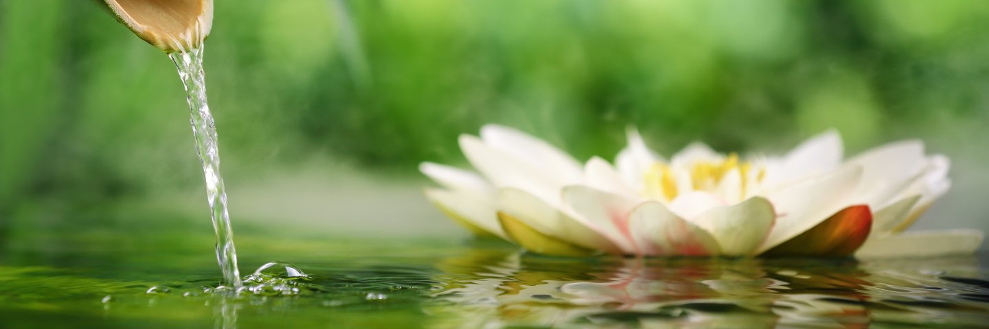 sanantonsalud's profile banner image