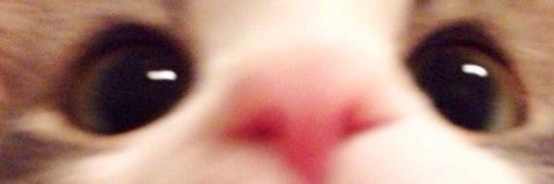 宁 banner