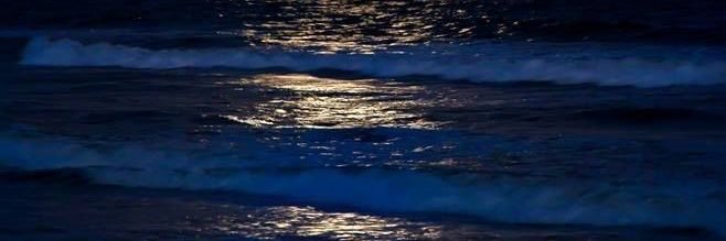 تهاني| Tahani banner