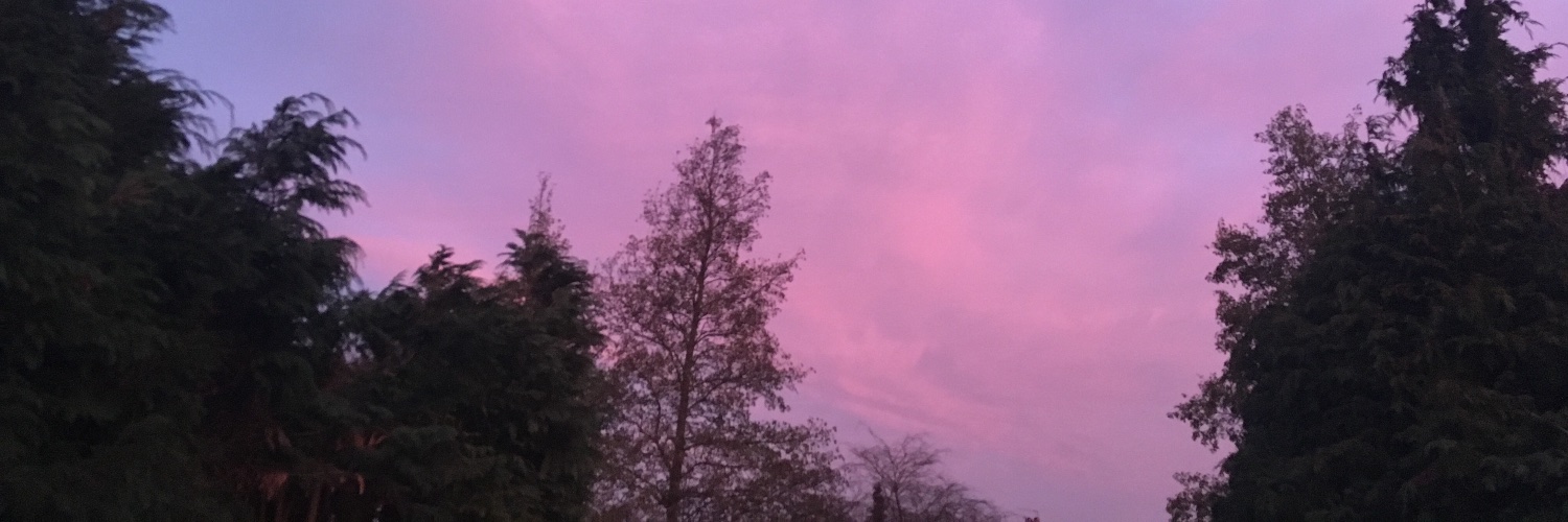 mariakingsford's profile banner image