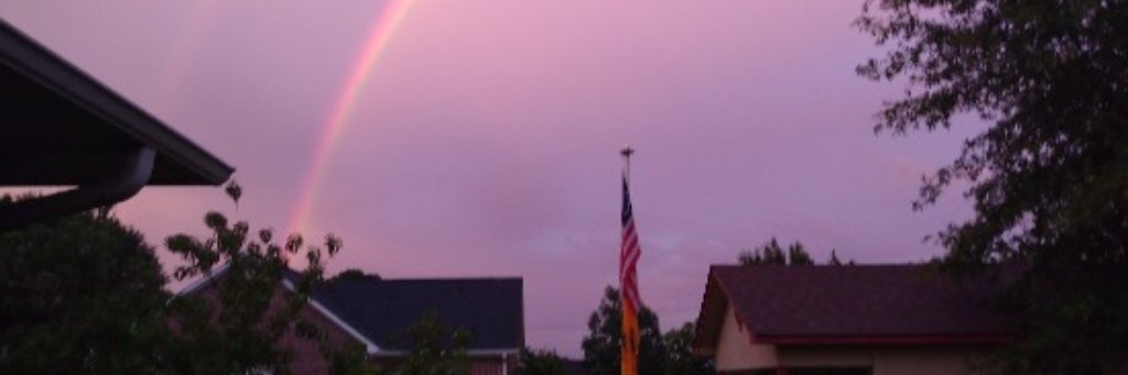 twforbus's profile banner image