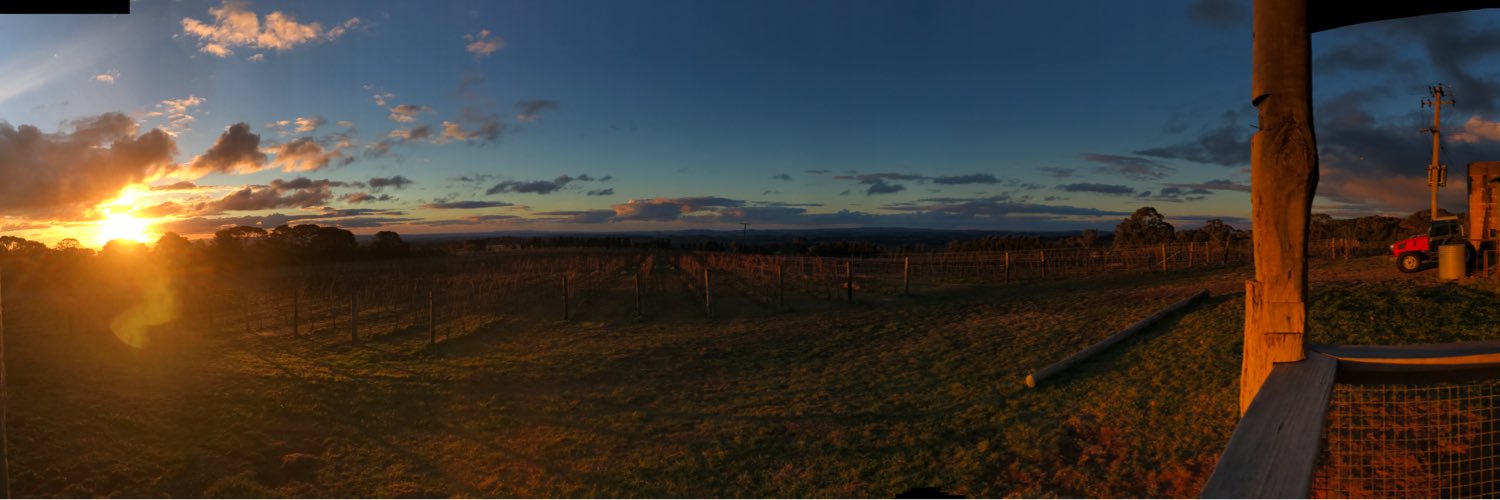 Vanessa Cavasinni banner