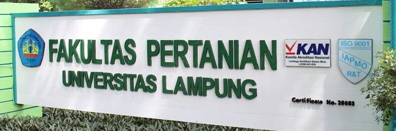 BEMFP_UNILA's profile banner image