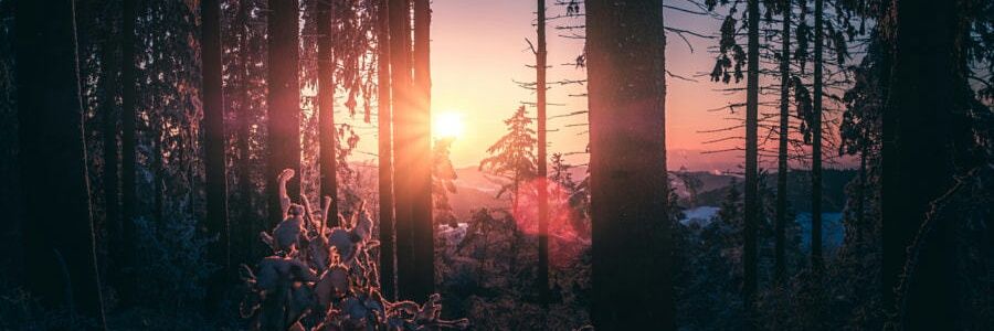7kieee's profile banner image
