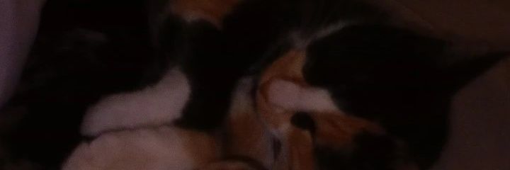 ValeePrescher's profile banner image