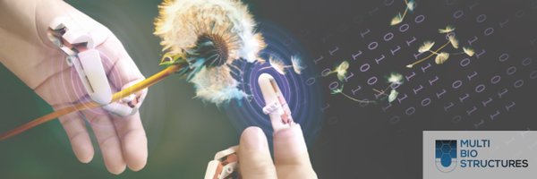 DanielGMadrid11 Profile Banner